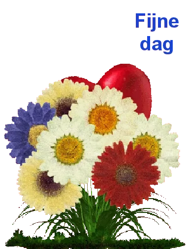 Een boeket bloemen met een roze achtergrond en de tekst 'Fijne dag'.