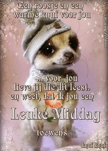 ᐅ fijne middag gif - Goedemiddag plaatjes Een schattig dierenfiguur met een muts, wensen voor een leuke middag.