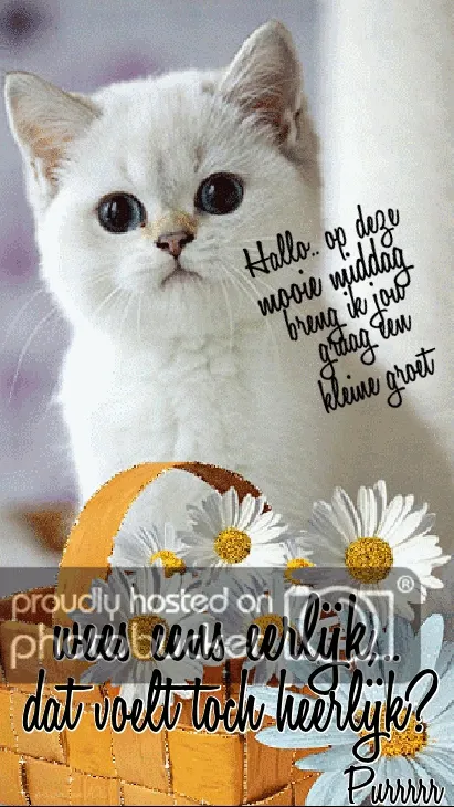 ᐅ fijne middag gif - Goedemiddag plaatjes Schattige kat met een mand vol bloemen en tekstgroet.
