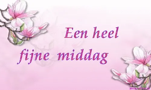 ᐅ fijne middag groetjes - Goedemiddag plaatjes Tekst op een roze achtergrond: "Een heel fijne middag" met bloesemtakken.