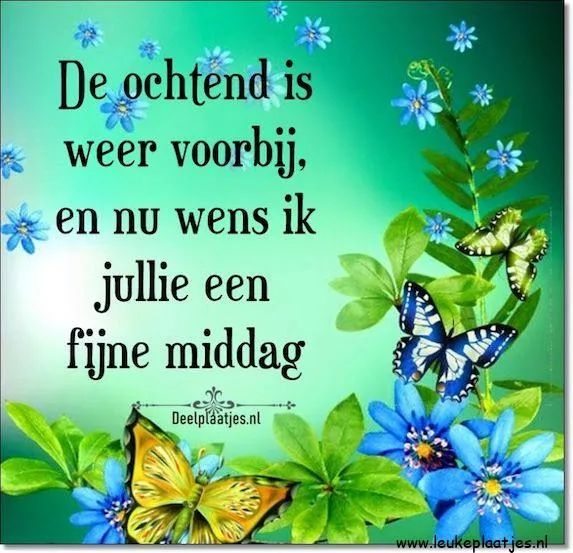 ᐅ fijne middag groetjes - Goedemiddag plaatjes Tekst met bloemen en vlinders: "Fijne middag gewenst na een voorbij ochtend."