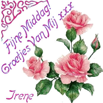 ᐅ fijne middag groetjes - Goedemiddag plaatjes Roze rozen met tekst: "Fijne Middag! Groetjes Van Mij xxx Irene".