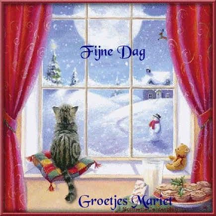 ᐅ fijne middag groetjes - Goedemiddag plaatjes Katje kijkt naar sneeuwlandschap door een raam, met een gezellige sfeer.