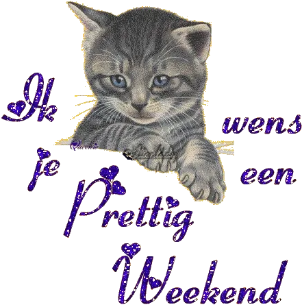ᐅ fijne middag groetjes - Goedemiddag plaatjes Grijze kitten met tekst "Ik wens je een Prettig Weekend" in glitters.