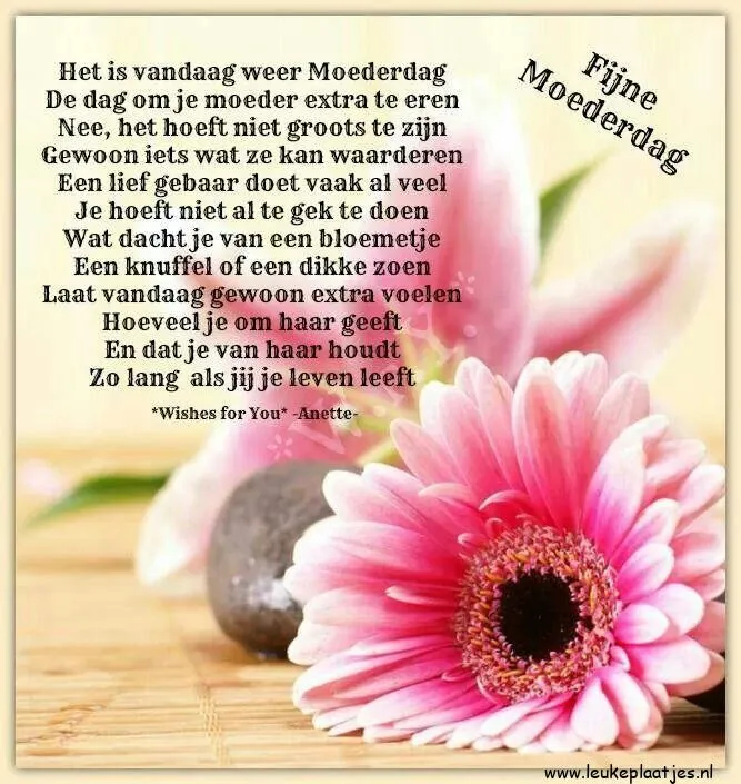 Tekst met vrolijke Moederdagwensen en een roze bloembol op de achtergrond.