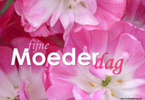 fijne moederdag bloemen