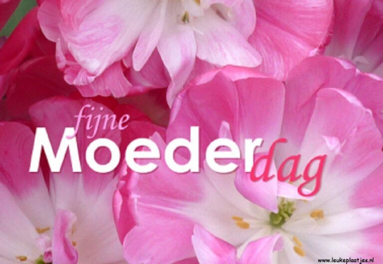 ᐅ fijne moederdag bloemen - fijne moederdag bloemen plaatjes