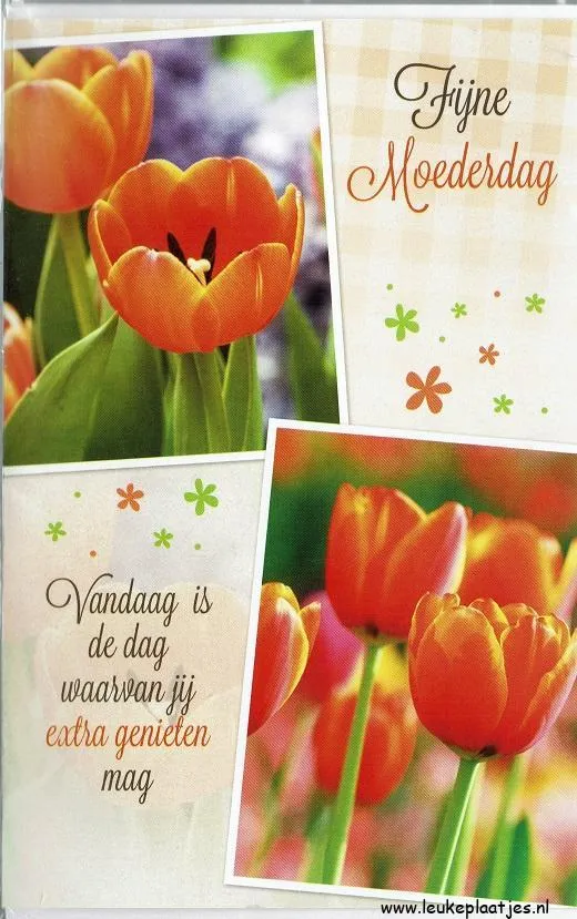 Groet voor Moederdag met oranje tulpen en een vrolijke tekst.