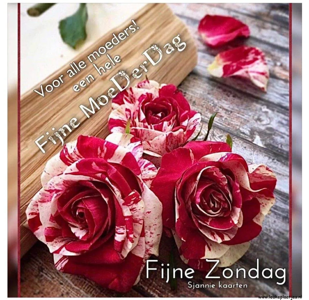 Drie bloemen met tekst: "Fijne MoederDag" en "Fijne Zondag".