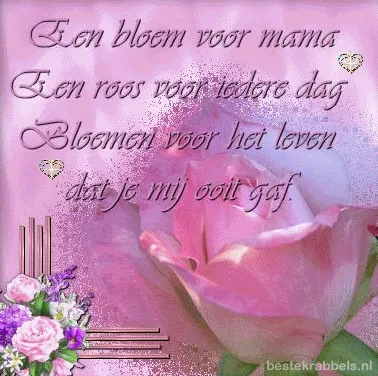 Roze achtergrond met tekst en een roos, boodschap van liefde voor moeder.