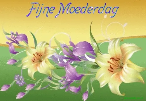 Kleurige bloemen met de tekst "Fijne Moederdag" op een gele achtergrond.