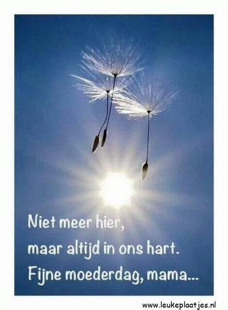 Twee paardenbloempluizen zweven in de lucht met zonneschijn. Tekst voor Moederdag.