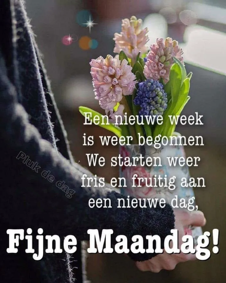 ᐅ fijne nieuwe week - Fijne week plaatjes Aangename maandag met een bos bloemen en positieve boodschap voor de week.
