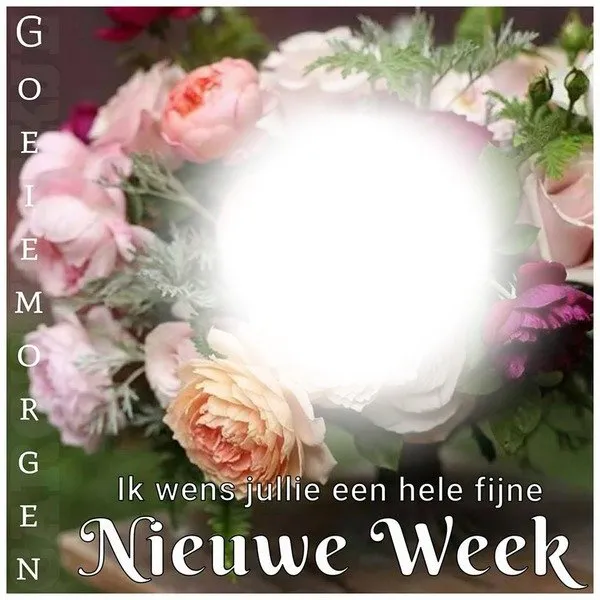 ᐅ fijne nieuwe week - Fijne week plaatjes Een bloemetje met de tekst: "Goede Morgen, Nieuwe Week, fijne week gewenst."
