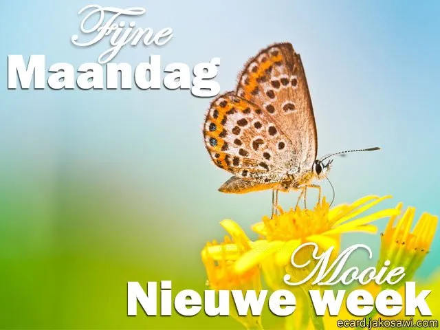 ᐅ fijne nieuwe week - Fijne week plaatjes Afbeelding van een vlinder op een gele bloem met de tekst "Fijne Maandag" en "Mooie week".