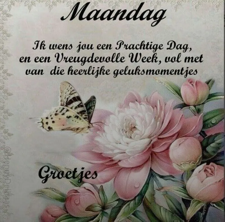 ᐅ fijne nieuwe week - Fijne week plaatjes Tekst met bloemetjes en een vlinder, met de boodschap voor een mooie maandag.