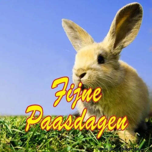Een schattig konijn op gras met de tekst "Fijne Paasdagen".