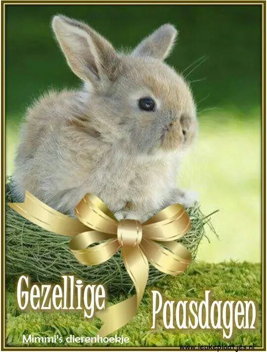 Een schattig konijntje in een nest, versierd met een strik en paasgroet.