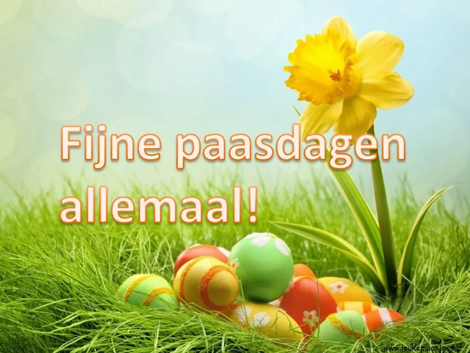 Kleurige paaseieren met een gele bloem en de tekst "Fijne paasdagen allemaal!"