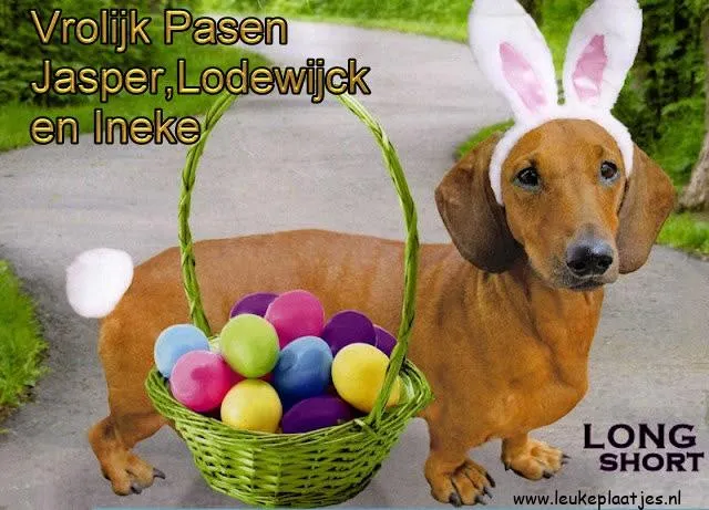 Hond met konijnenoren en een mand vol gekleurde eieren op een pad.