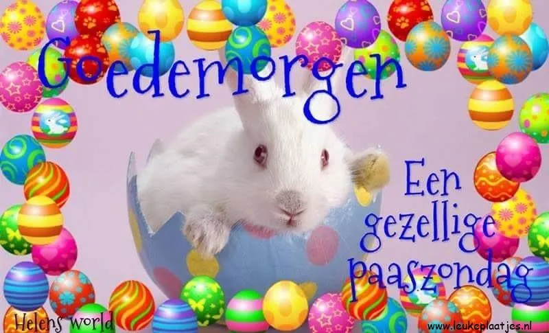 Wit konijn in een ei, omringd door vrolijke paaseieren en de tekst 'Goede Morgen'.