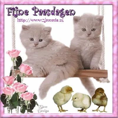 Twee schattige kittens op een schommel met bloemen en gele kuikens.