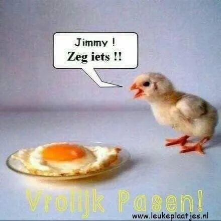 Een kuiken kijkt naar een gebakken ei met de tekst "Vrolijk Pasen!" erbij.