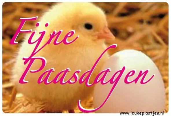Een kuikentje naast een ei met de tekst "Fijne Paasdagen".