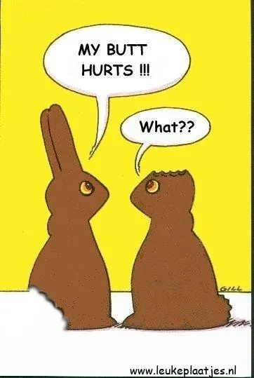 Twee schattige konijnen praten; een zegt dat zijn achterwerk pijn doet.