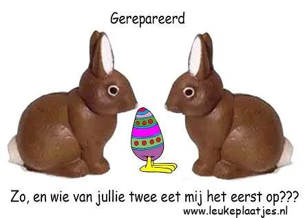 Twee chocolade konijnen met een paasei in het midden en een vraag over wie eerst eet.