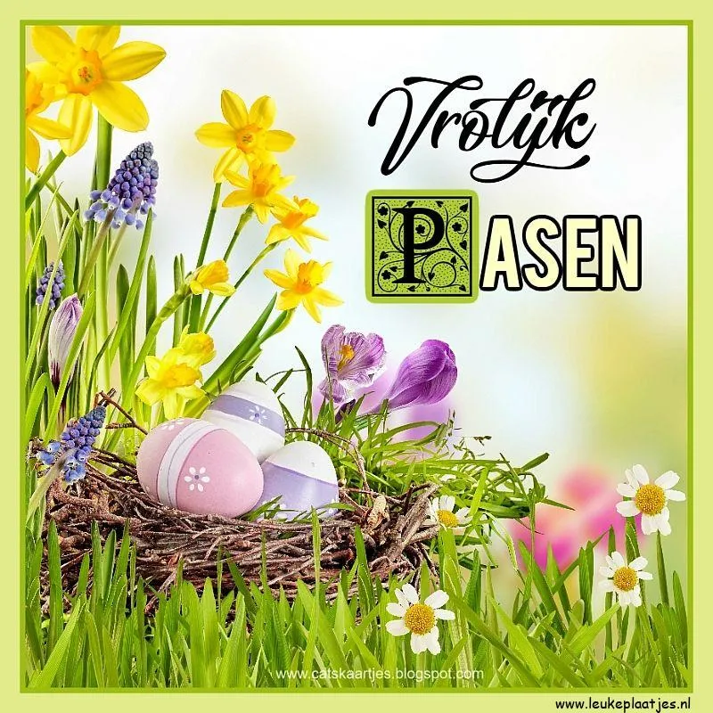 Een kleurrijk paasei-nest omringd door bloemen met de tekst "Vrolijk Pasen".
