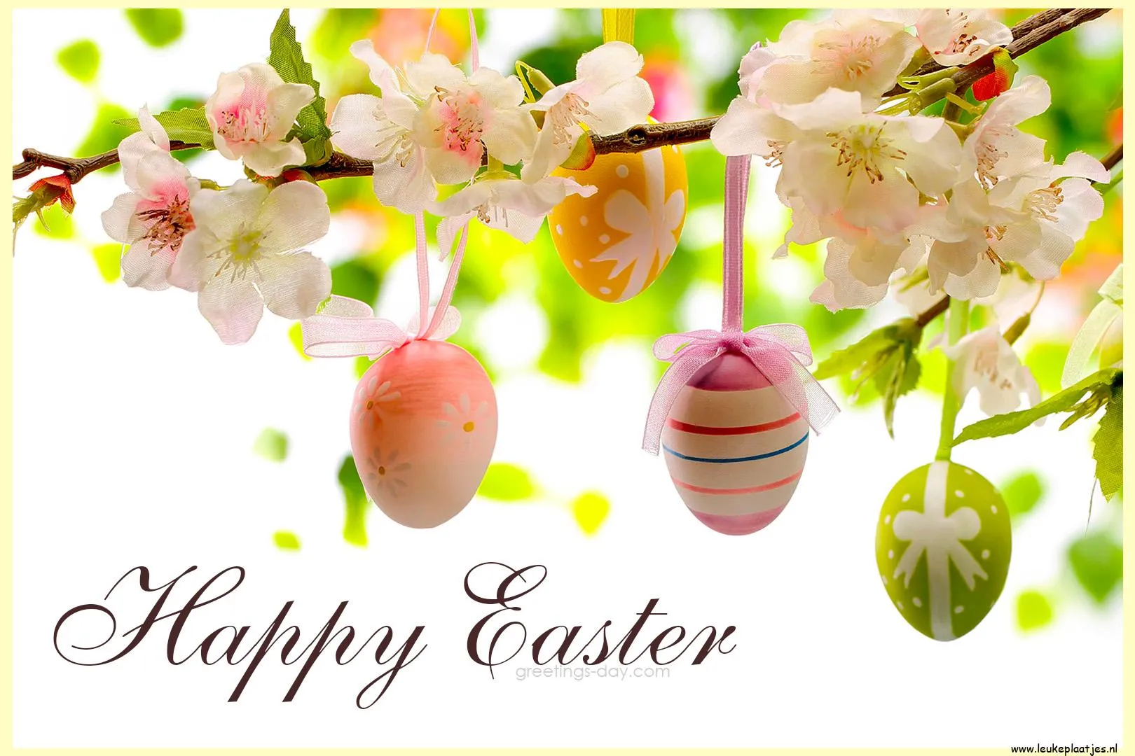 Drie versierde paaseieren hangen tussen bloesembloesems. Tekst: "Gelukkig Pasen".