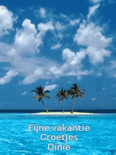 Tropisch eiland met palmbomen, helderblauw water en een blauwe lucht. Fijne vakantie!