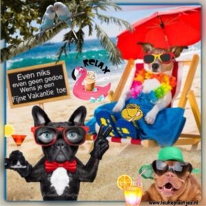 fijne vakantie grappig