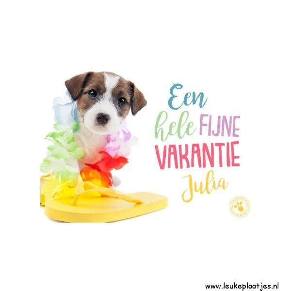 ᐅ fijne vakantie grappig - Vakantie Plaatjes en Gifs plaatjes Een schattige puppy met kleurige bloemenketting en slippers voor vakantie.