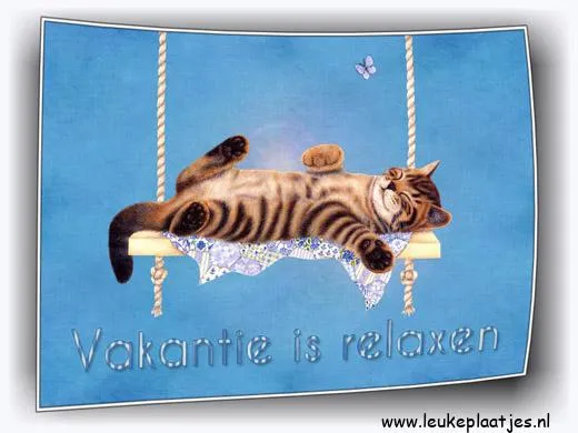 ᐅ fijne vakantie grappig - Vakantie Plaatjes en Gifs plaatjes Zittende kat op een schommel, ontspannen met de tekst "Vakantie is relaxen".