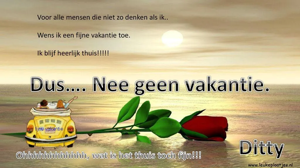 Tekst op een zonsondergang met een auto en een roos, over vakantie en thuisblijven.