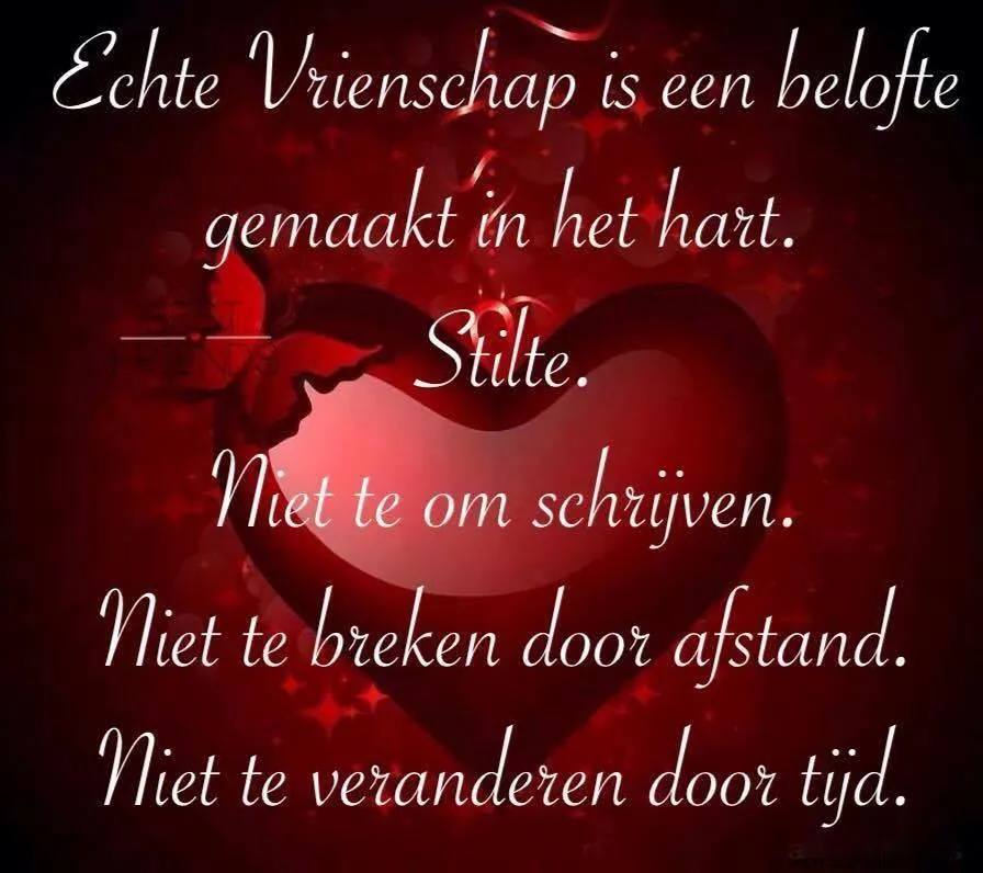 Tekst op een rode achtergrond over ware vriendschap en verbinding.