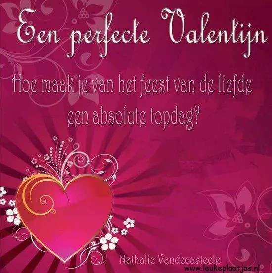 Tekst op een roze achtergrond over een perfecte Valentijnsdag.