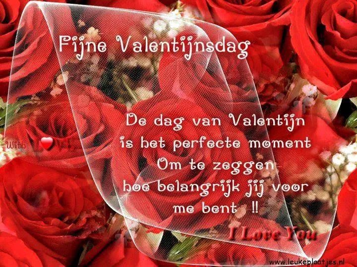 ᐅ fijne valentijnsdag wensen - Valentijnsdag plaatjes Een rozenboeket met de tekst "Fijne Valentijnsdag" en een liefdevolle boodschap.