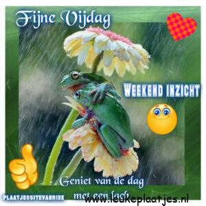 fijne vrijdag