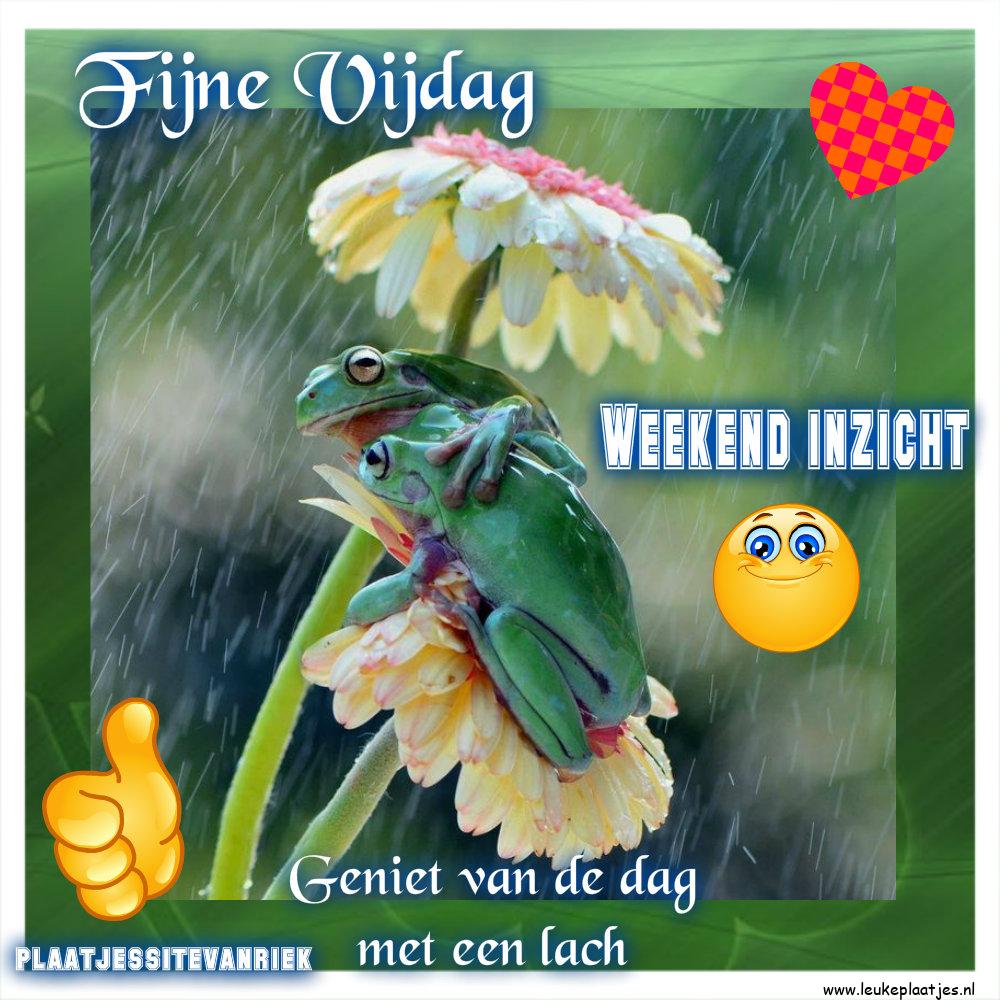 fijne vrijdag