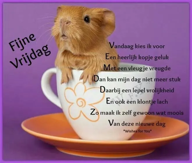 ᐅ fijne vrijdag - Vrijdag plaatjes ᐅ fijne vrijdag - Vrijdag plaatjes
