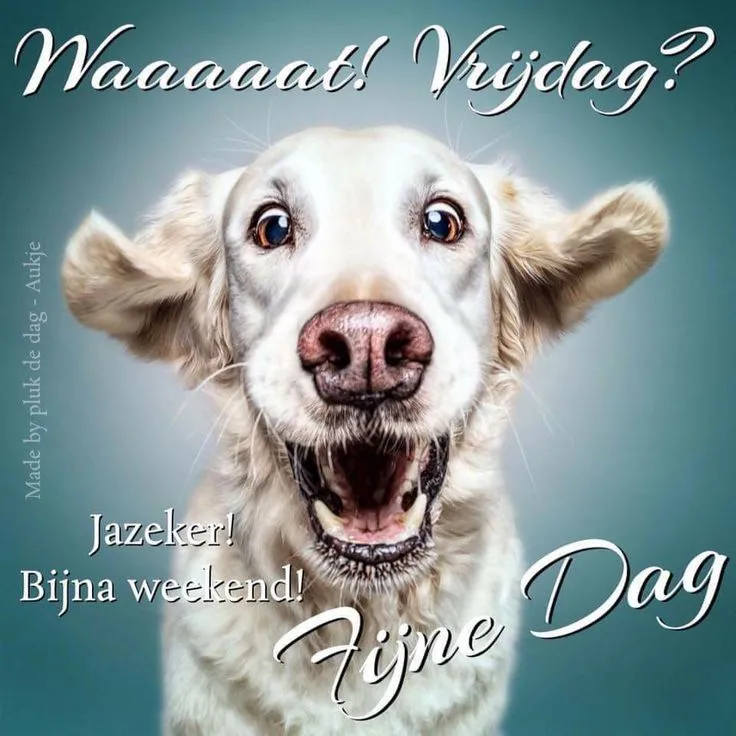 ᐅ fijne vrijdag - Vrijdag plaatjes ᐅ fijne vrijdag - Vrijdag plaatjes