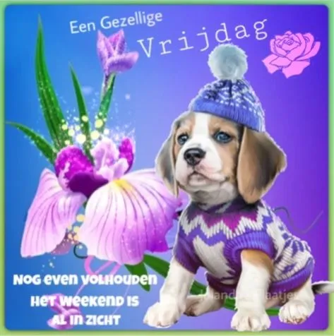 ᐅ fijne vrijdag - Vrijdag plaatjes ᐅ fijne vrijdag - Vrijdag plaatjes