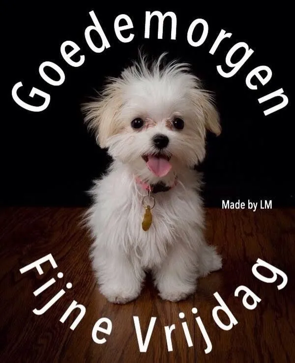 ᐅ fijne vrijdag - Vrijdag plaatjes ᐅ fijne vrijdag - Vrijdag plaatjes