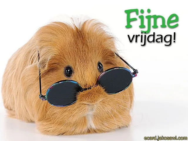 ᐅ fijne vrijdag - Vrijdag plaatjes ᐅ fijne vrijdag - Vrijdag plaatjes