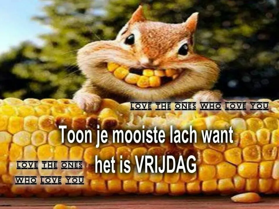 ᐅ fijne vrijdag - Vrijdag plaatjes ᐅ fijne vrijdag - Vrijdag plaatjes