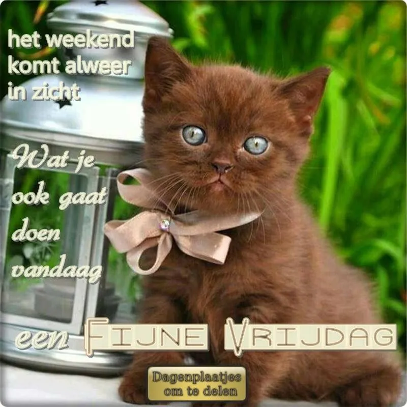 ᐅ fijne vrijdag - Vrijdag plaatjes ᐅ fijne vrijdag - Vrijdag plaatjes