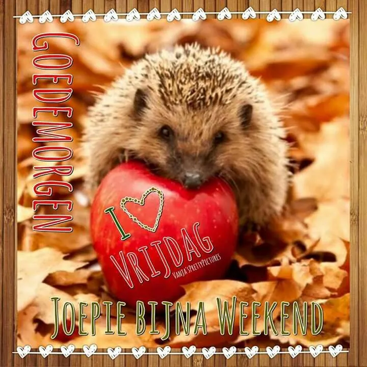 ᐅ fijne vrijdag - Vrijdag plaatjes ᐅ fijne vrijdag - Vrijdag plaatjes